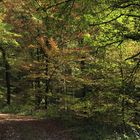 Herbstfarben_1