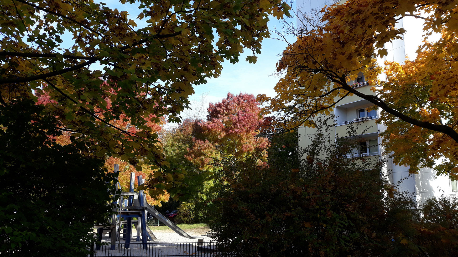 Herbstfarben1