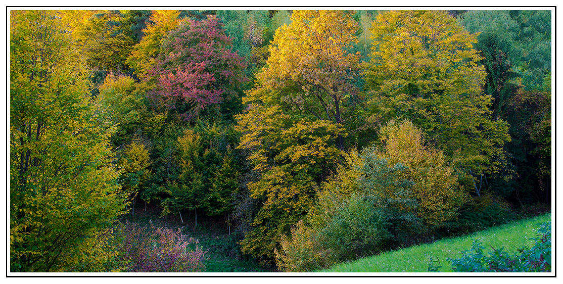 Herbstfarben3