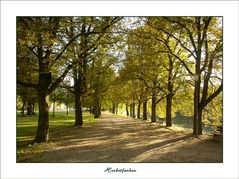 Herbstfarben6