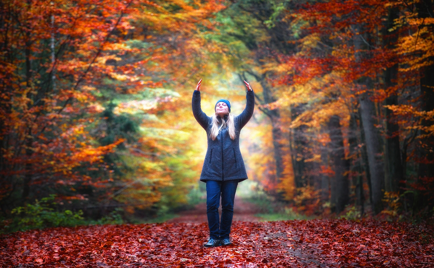 Herbstfarbenballett