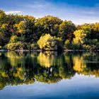 Herbstfarbene Spiegelung