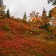 Lappland Herbst 2021