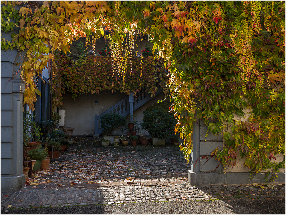 Herbstfarben_Heinz Schaub