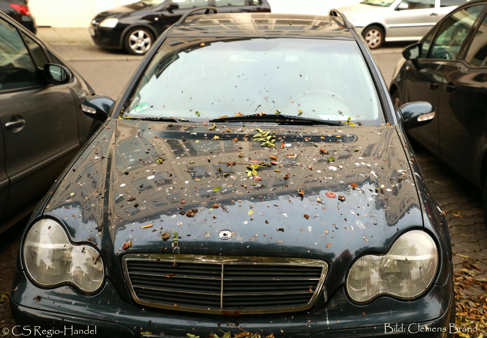  Herbstfarbenlack, der heißeste Scheiß im Auto-Tuning  