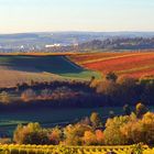 "Herbstfarbenmeer"