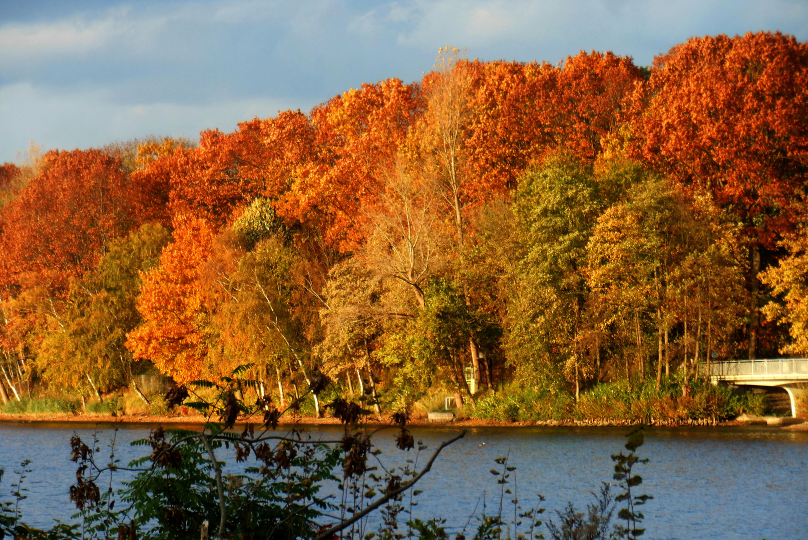 Herbstfarbenpracht