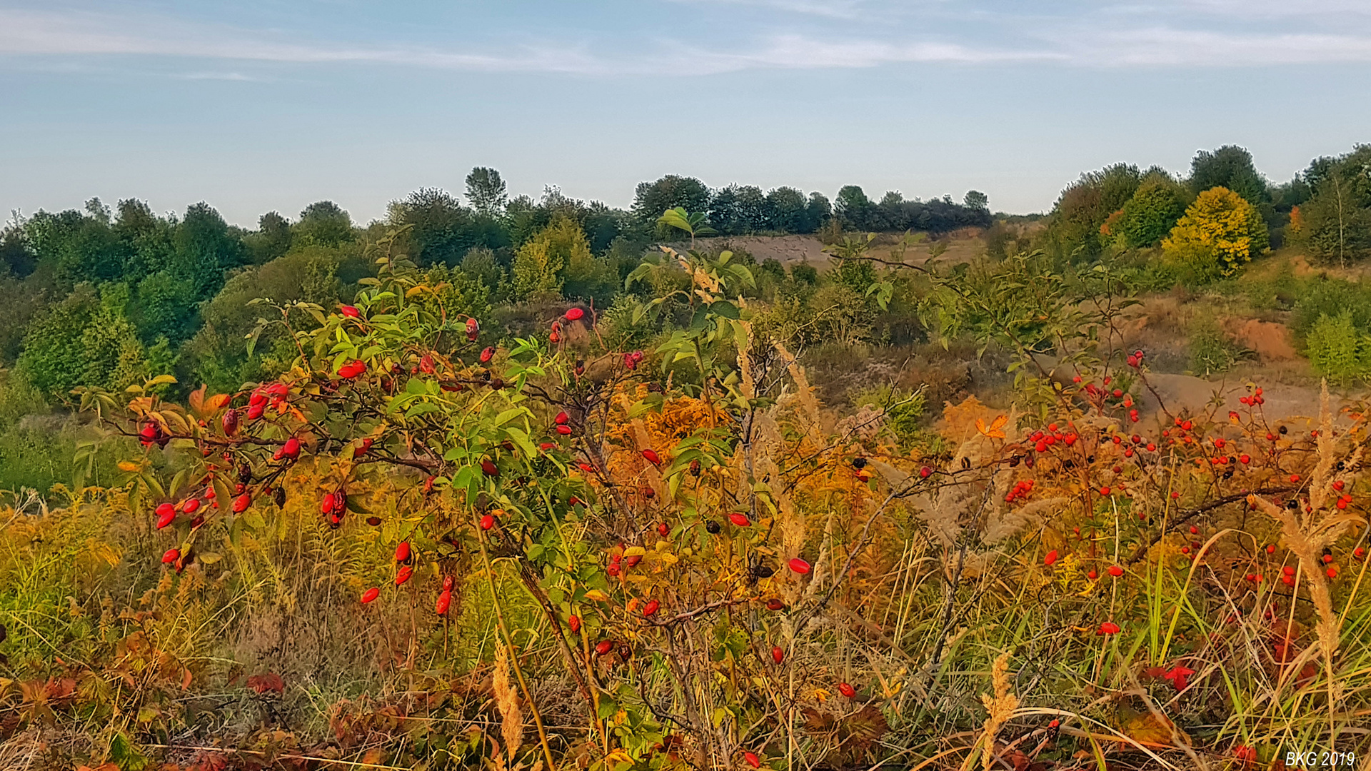 Herbstfarbenpracht