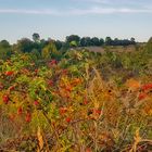 Herbstfarbenpracht