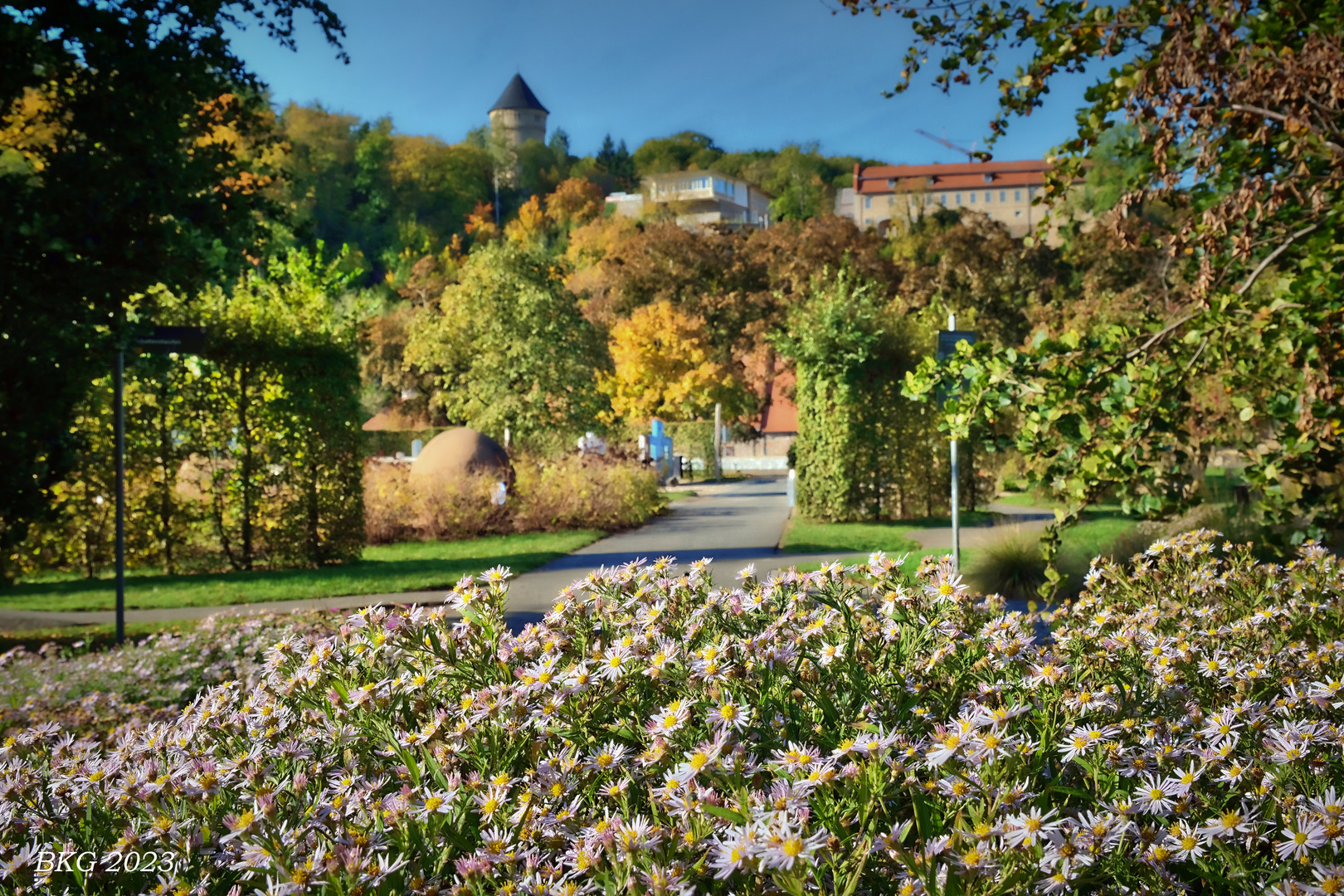 Herbstfarbenpracht im Hofwiesenpark Gera 
