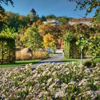 Herbstfarbenpracht im Hofwiesenpark Gera 