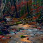 Herbstfarbenrausch