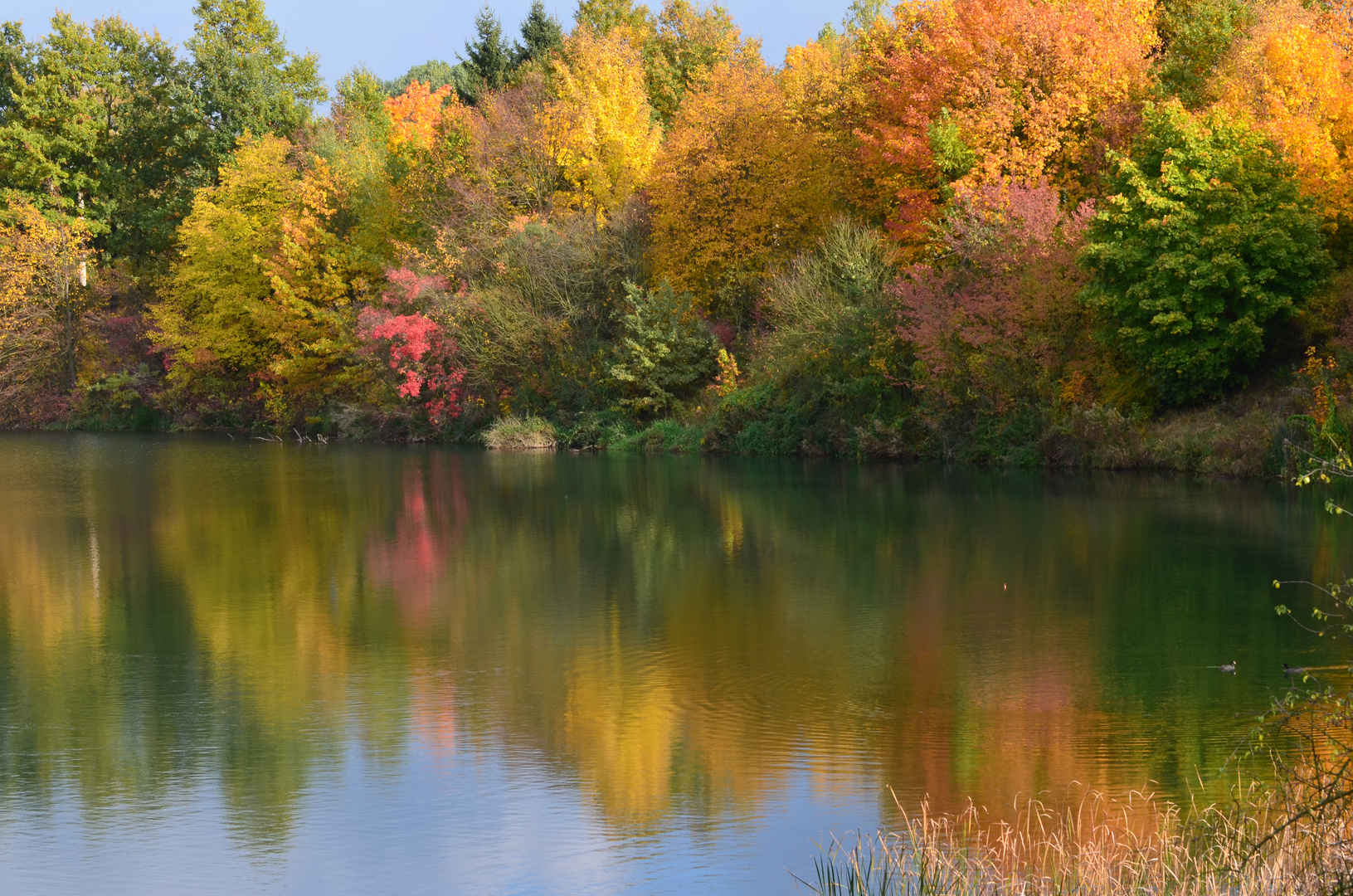 "Herbstfarbenspiel" 2