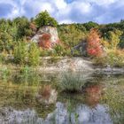 Herbstfarbenspiel mit Spiegelung