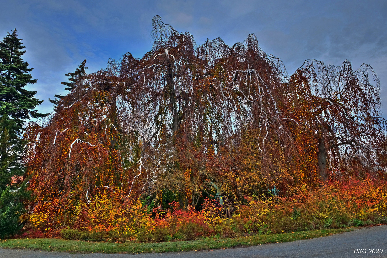 Herbstfarbenüberfluss 