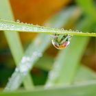 Herbstfarbtropfen