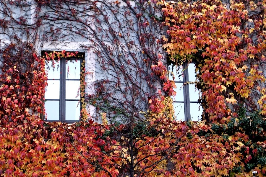 Herbstfassade