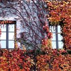 Herbstfassade