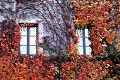 Herbstfassade