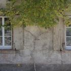 Herbstfassade