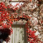 Herbstfassade