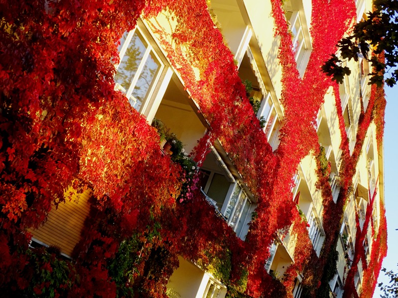 Herbstfassade