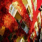 Herbstfassade