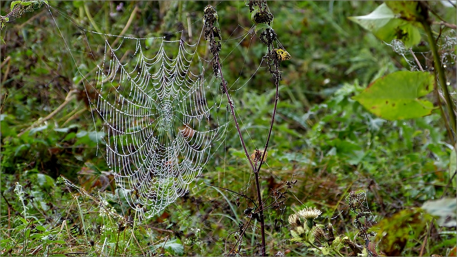 Herbstfeeling