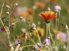 Herbst.Feeling