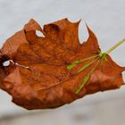 Herbstfeeling