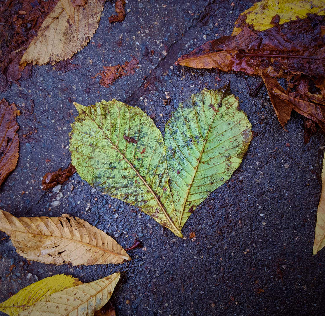 Herbstfeeling