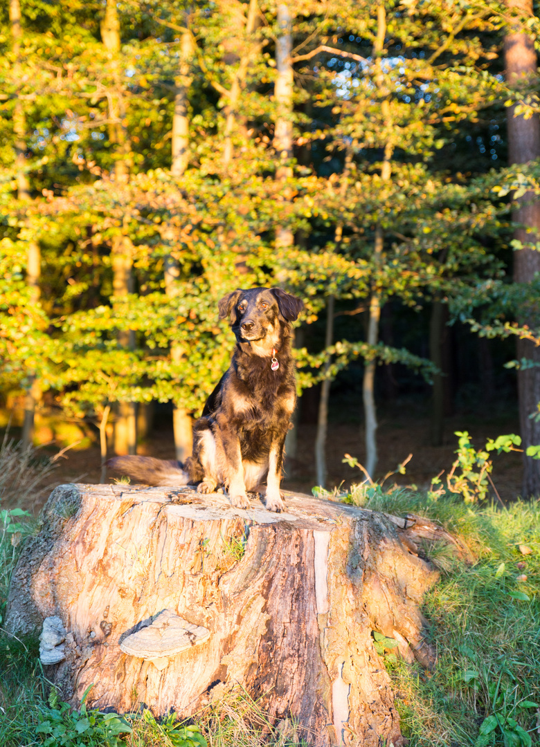 Herbstfeeling