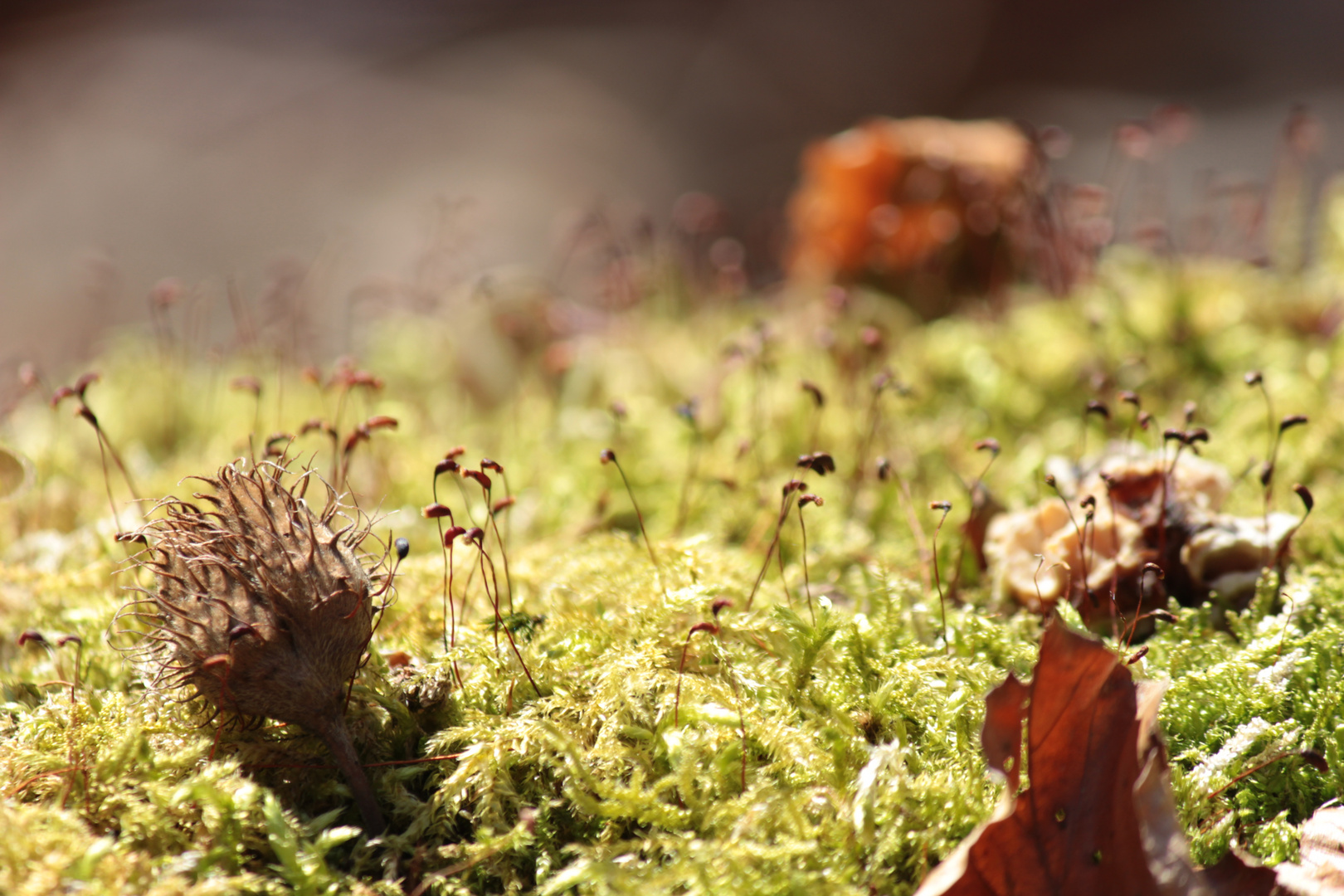 Herbstfeeling