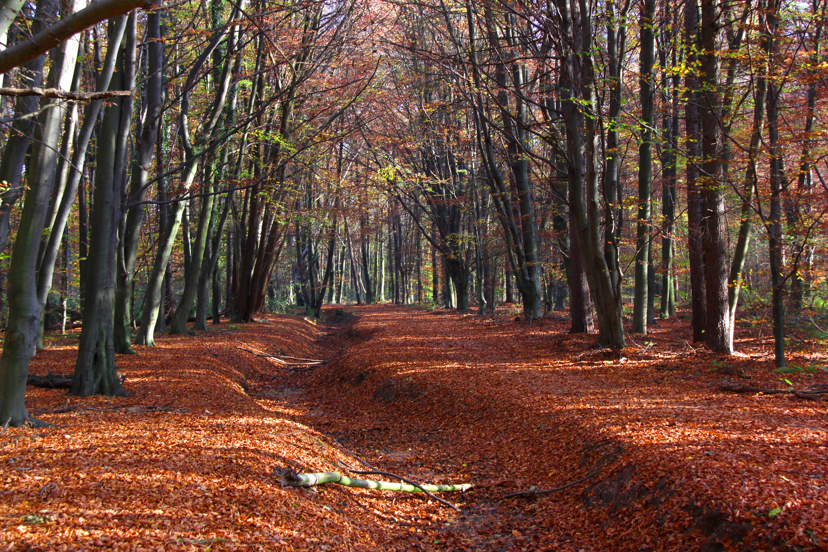 Herbstfeeling