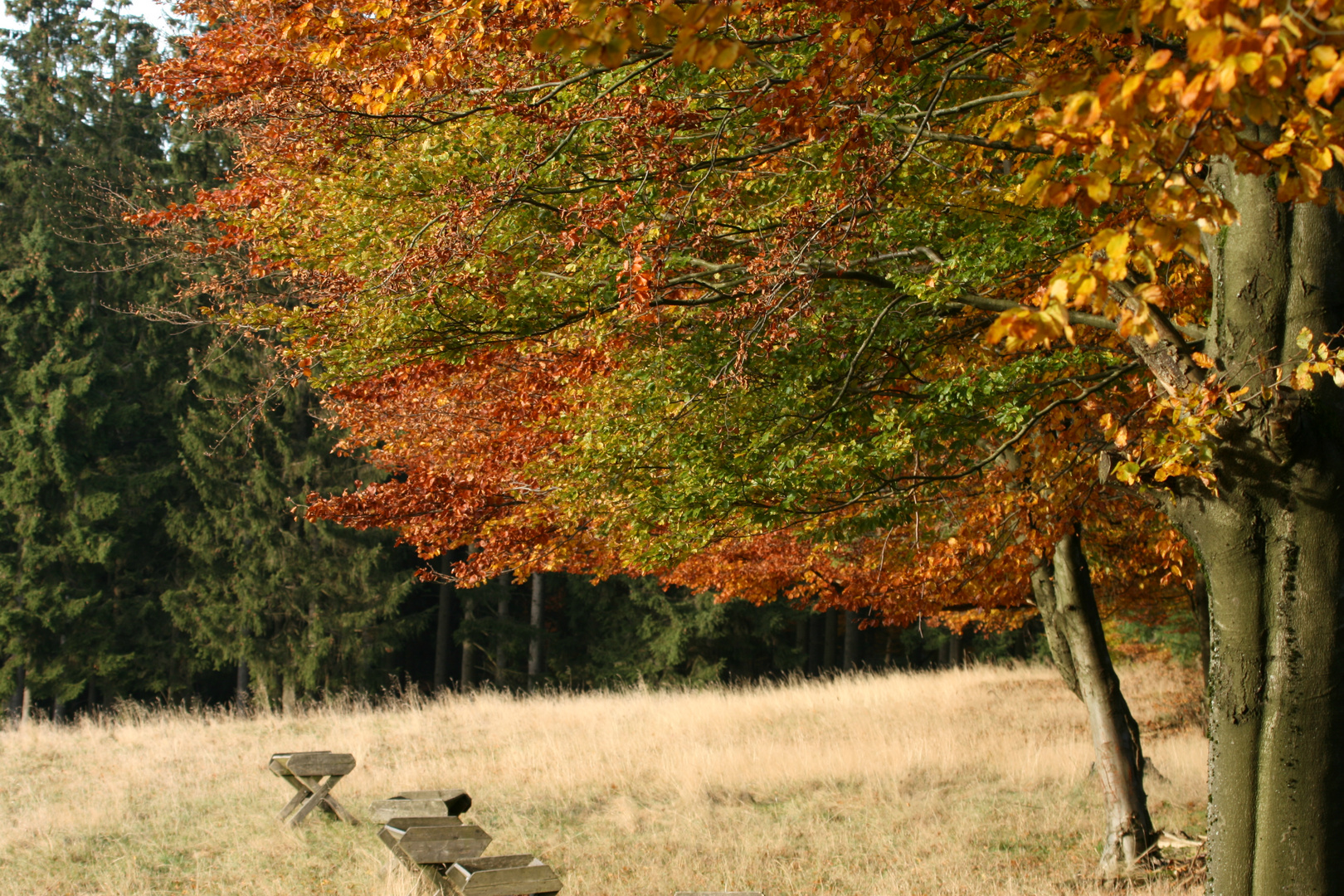 Herbstfeeling