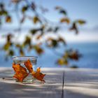 Herbstfeeling am. Bodensee 