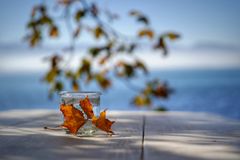 Herbstfeeling am. Bodensee 