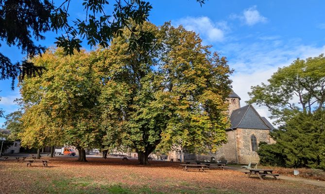 Herbstfeeling am Schiffenberg