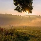 Herbstfeeling auf der schwäbischen alb