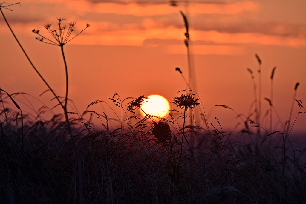 HerbstFeeling