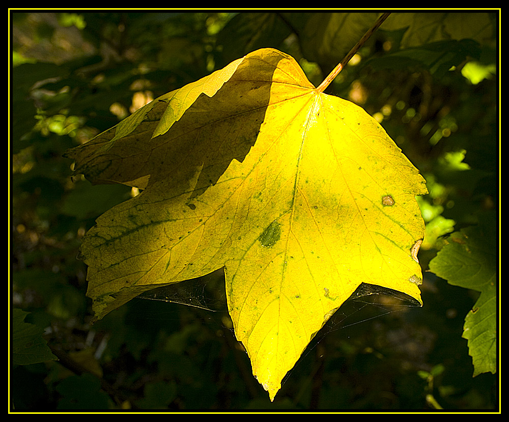 Herbstfeeling