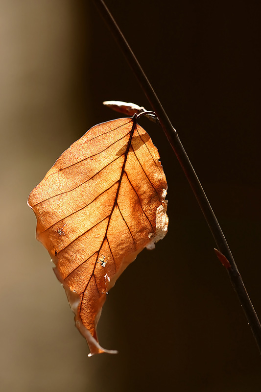 Herbstfeeling im Frühling