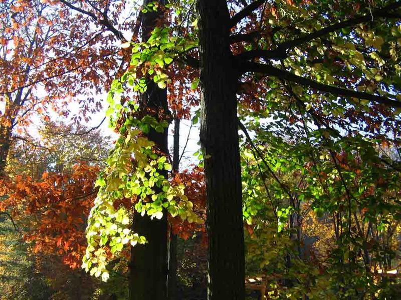 Herbstfeeling im Frühling