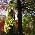 Herbstfeeling im Frühling