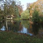 Herbstfeeling im Tiergarten