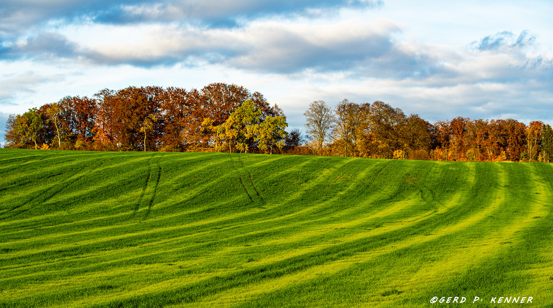 Herbst_Feld