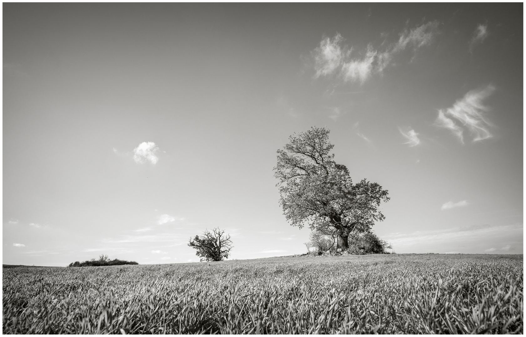 Herbstfeld