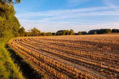 Herbstfeld