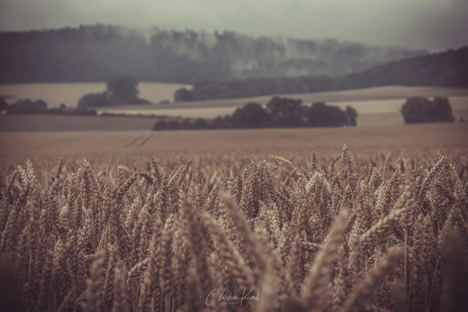 Herbstfelder