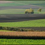 Herbstfelder